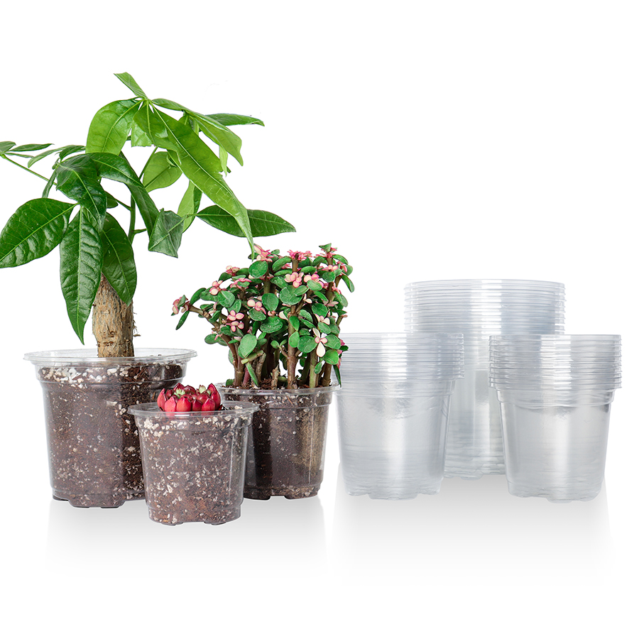 Aloe Vera Pot - 30 แพ็ค 3.5/4/5 นิ้วล้าง Nursery Pots,พลาสติกโปร่งใส