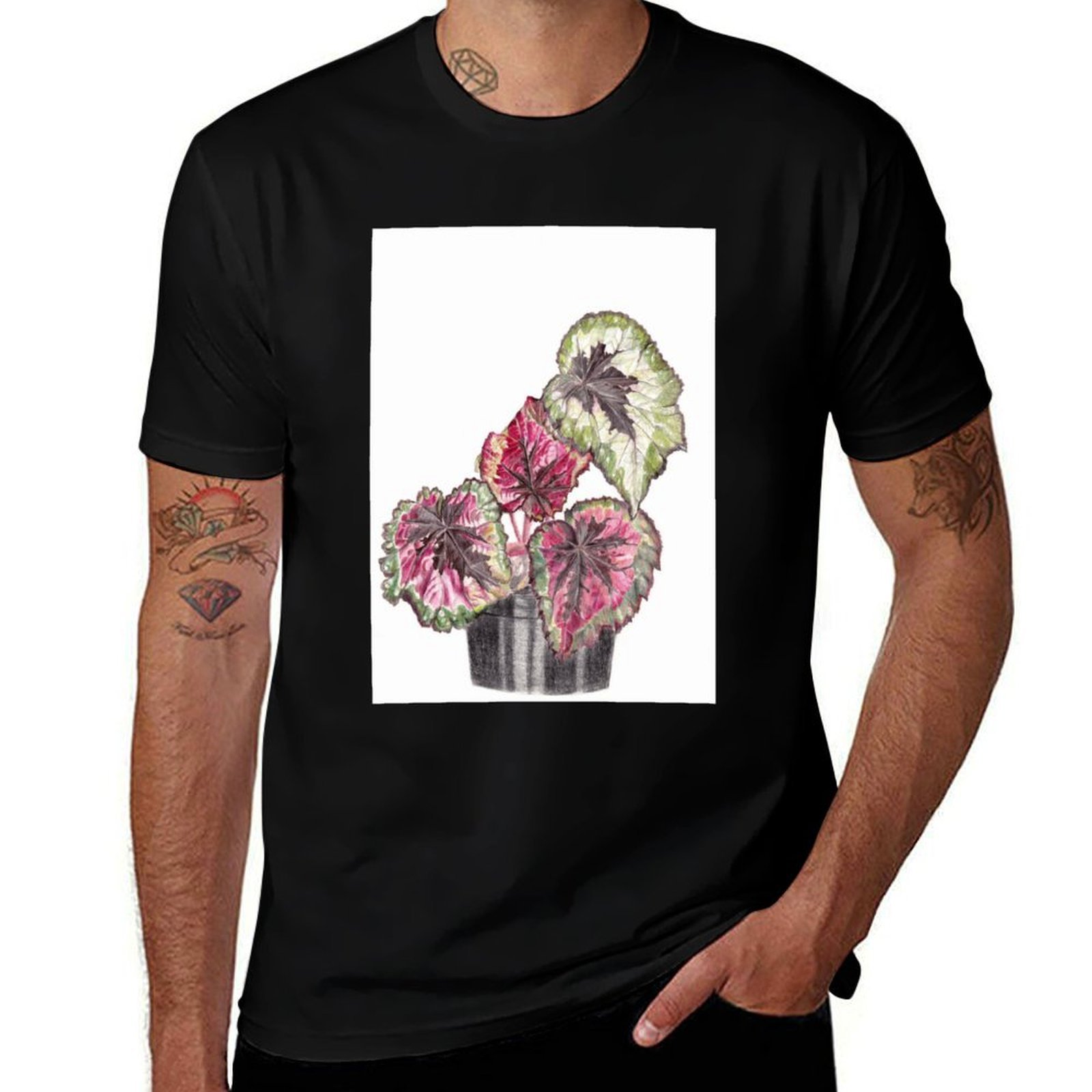 Begonia Rex - เสื้อยืดเบโกเนียเร็กซ์ เสื้อยืดผ้ายืดใส่สบาย