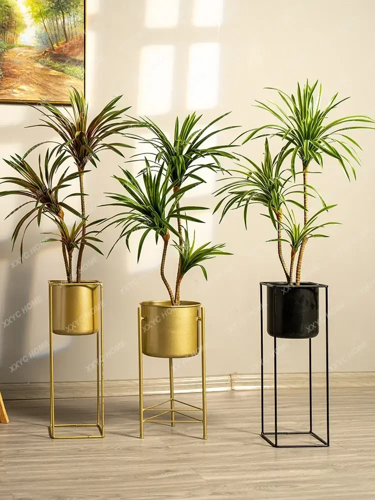 ต้นไม้ประดิษฐ์สีสันสดใส ต้นดรา - Dracaena Marginata บทวิจารณ์และราคา