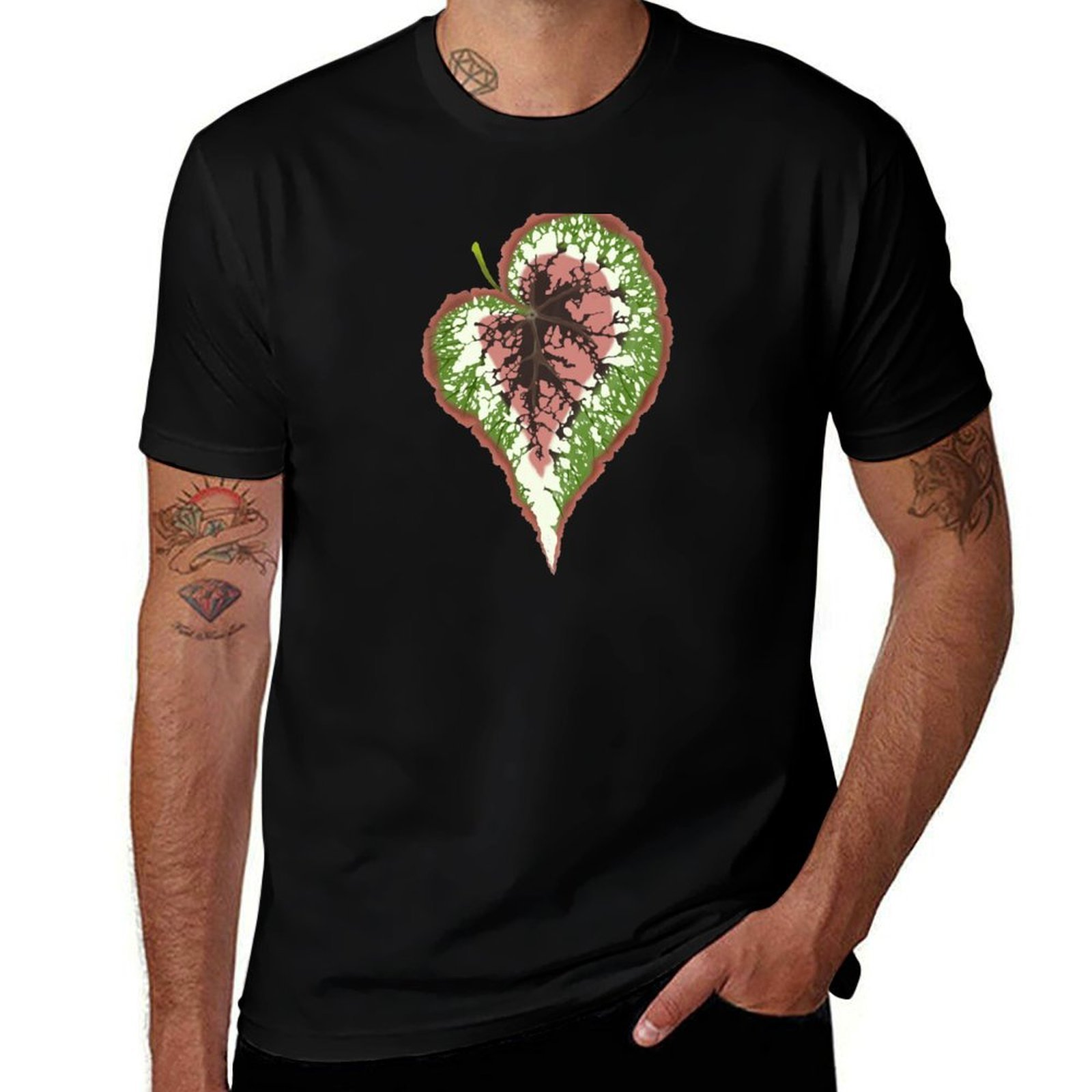 เสื้อยืดเบโกเนีย เร็กซ์ดีไซน์เ - Begonia Rex บทวิจารณ์และราคา