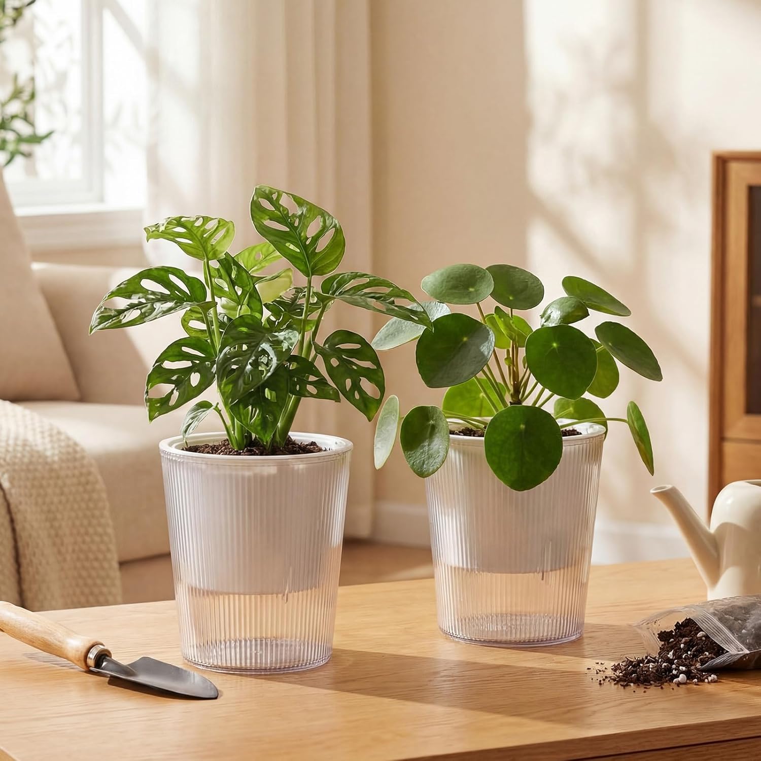 กระถางต้นไม้แบบรดน้ำเองได้ ป้อ - Aloe Vera Pot บทวิจารณ์และราคา