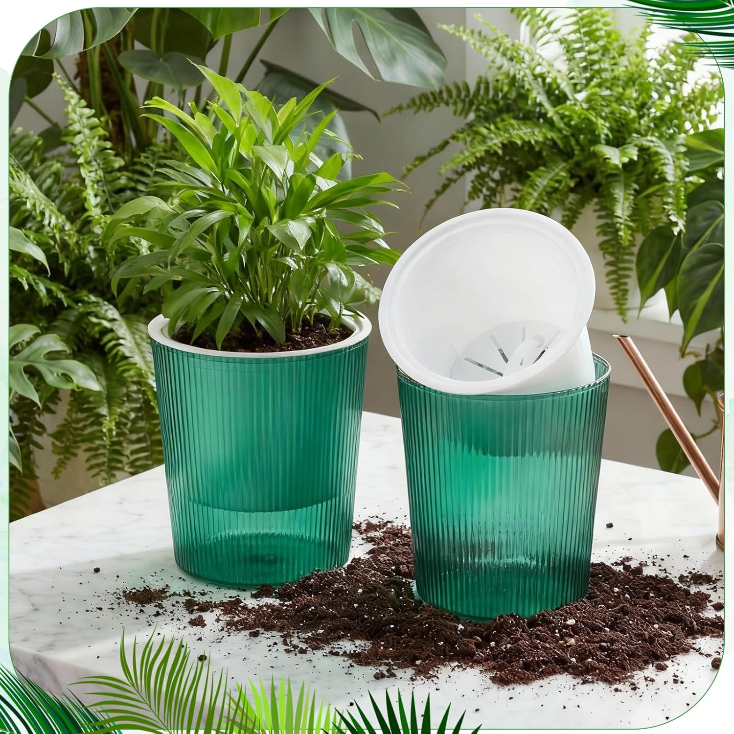 กระถางต้นไม้แบบรดน้ำเองได้ ป้อ - Aloe Vera Pot บทวิจารณ์และราคา