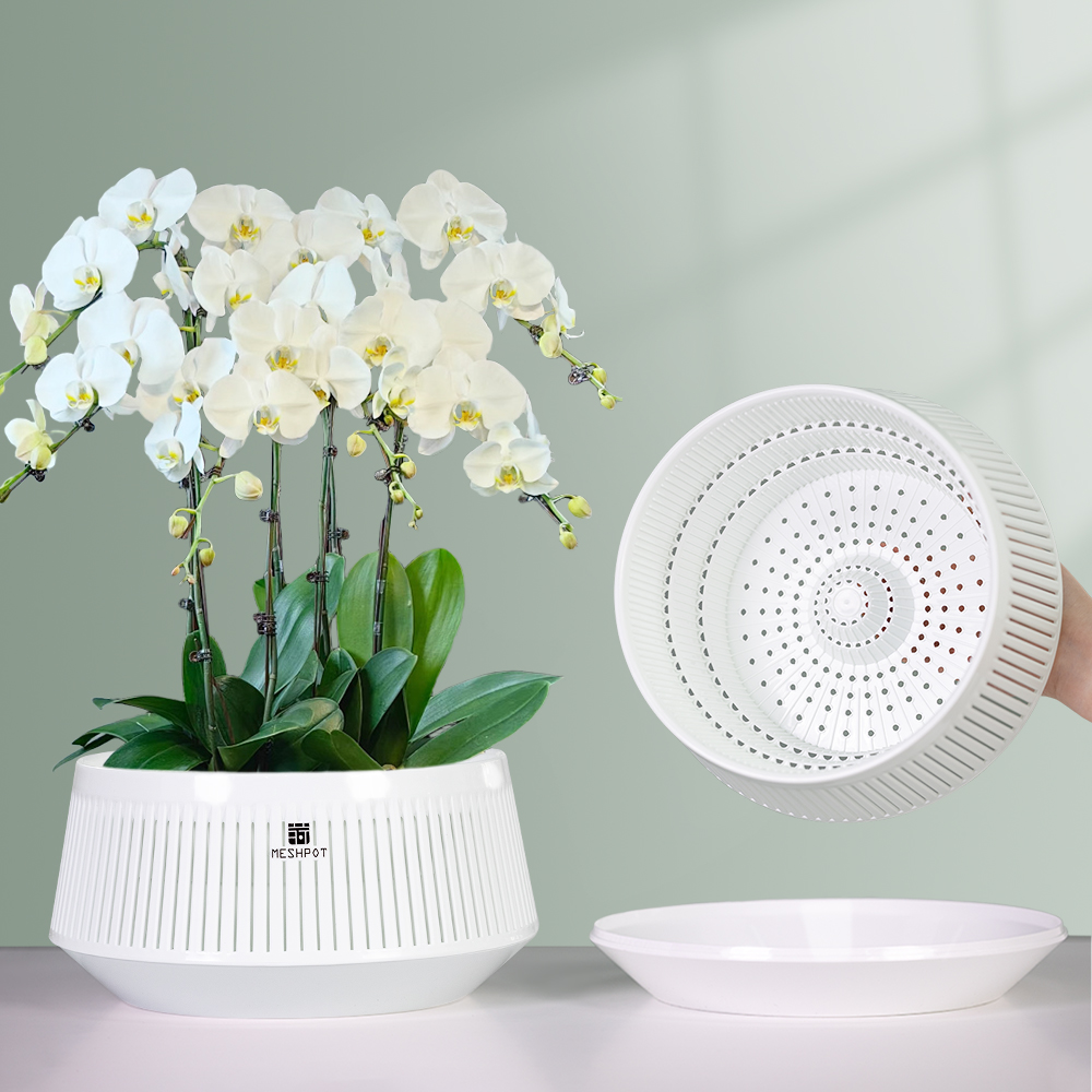 กระถางกล้วยไม้ Meshpot มีรู กร - Aloe Vera Pot บทวิจารณ์และราคา
