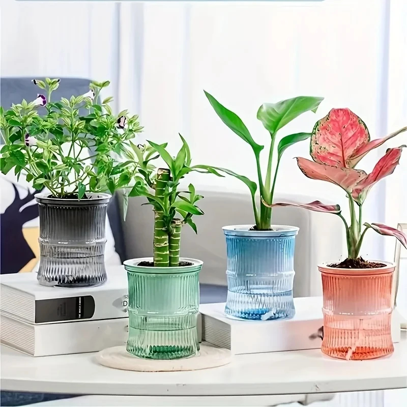 กระถางปลูกต้นไม้แบบใสสองชั้น ร - Aloe Vera Pot บทวิจารณ์และราคา