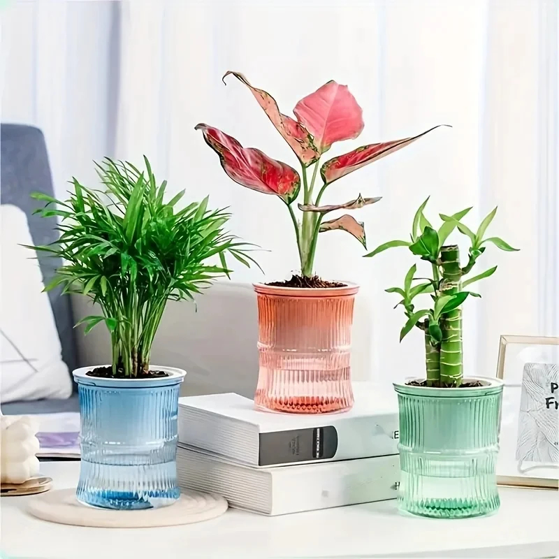 กระถางปลูกต้นไม้แบบใสสองชั้น ร - Aloe Vera Pot บทวิจารณ์และราคา
