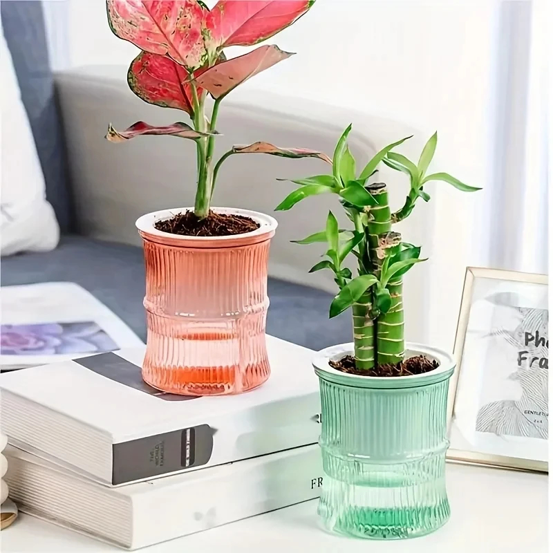 กระถางปลูกต้นไม้แบบใสสองชั้น ร - Aloe Vera Pot บทวิจารณ์และราคา
