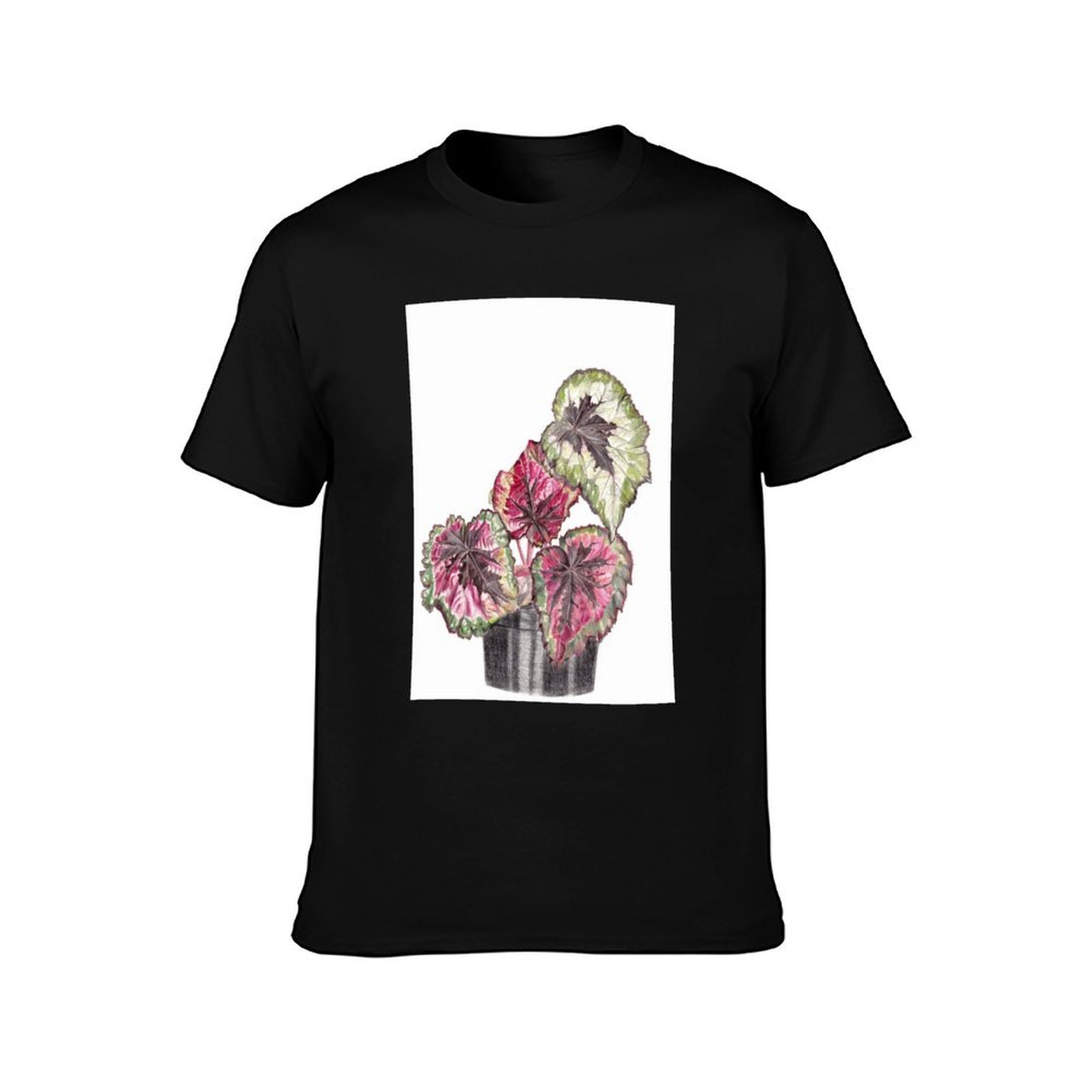 เสื้อยืดเบโกเนียเร็กซ์ เสื้อยื - Begonia Rex บทวิจารณ์และราคา