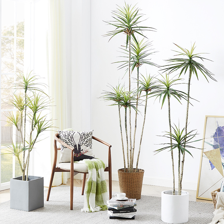 กระถางต้นไม้พลาสติกเทียม ​ ต้น - Dracaena Marginata บทวิจารณ์และราคา